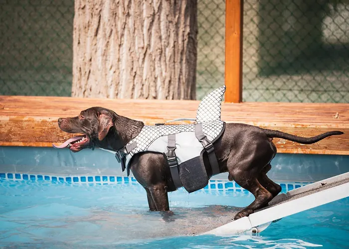 Club Del Sole Boutique Campsite