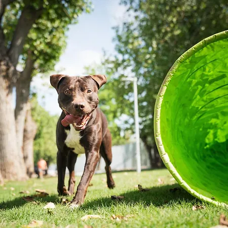 Club Del Sole Boutique 4* Milano Marittima