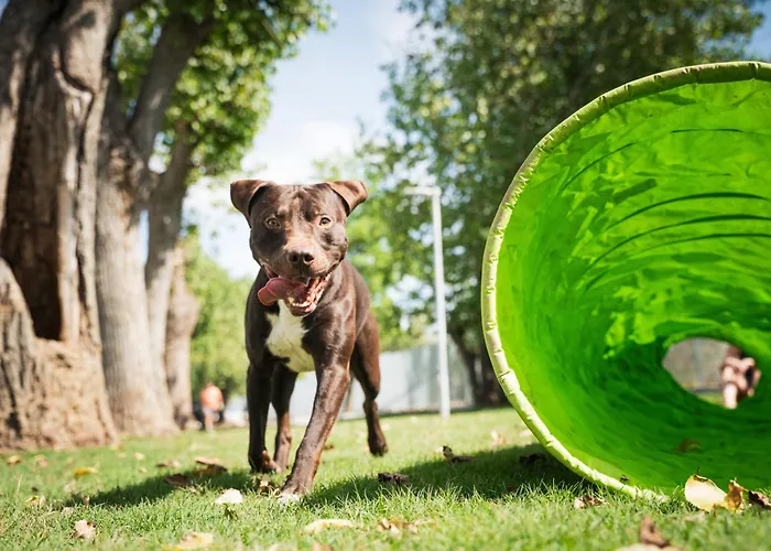 Club Del Sole Boutique 4* Milano Marittima